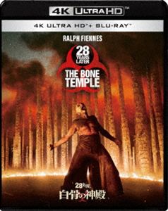 ニジュウハチネンゴハッコツノシンデンUltra HD Blu-ray発売日2026/6/17初回予約分締切日2026/5/11 AM 7:59詳しい納期他、ご注文時はご利用案内・返品のページをご確認くださいジャンル洋画ホラー　監督ニア・ダコスタ出演レイフ・ファインズジャック・オコンネルアルフィー・ウィリアムズエリン・ケリーマンチ・ルイス・パリー収録時間109分組枚数2関連キーワード：ブルーレイ BD レイフファインズ 映画商品説明28年後... 白骨の神殿 4K UHD＋ブルーレイセットニジュウハチネンゴハッコツノシンデンダニー・ボイルとアレックス・ガーランドが築いた『28年後...』の世界を大胆に転換し、監督：ニア・ダコスタが新たに描く『28年後... 白骨の神殿』。物語はさらに深化し、ケルソン先生は世界を揺るがす“想定外の関係”へと足を踏み入れていく—。R15※こちらの商品は【Ultra HD Blu-ray】のため、対応する機器以外での再生はできません。封入特典Blu-ray（本編＋特典映像：新たな血／ドクターと悪魔／怒りのもとで／未公開シーン／NGシーン）関連商品2026年公開の洋画商品スペック 種別 Ultra HD Blu-ray JAN 4907953236516 画面サイズ シネマスコープ カラー カラー 製作年 2026 製作国 アメリカ 字幕 日本語 英語 音声 英語ドルビーアトモス　日本語DTS-HD Master Audio（5.1ch）　　 販売元 ソニー・ピクチャーズ エンタテインメント登録日2026/03/04