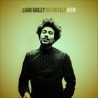輸入盤 LIAM BAILEY / DEFINITELY NOW 