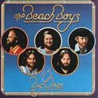 輸入盤 BEACH BOYS / 15 BIG ONES／LOVE YOU [CD]