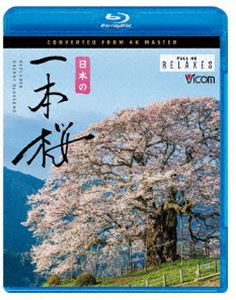 Blu-ray発売日2021/3/21詳しい納期他、ご注文時はご利用案内・返品のページをご確認くださいジャンル趣味・教養カルチャー／旅行／景色　監督出演収録時間42分組枚数1商品説明ビコム Relaxes BD 日本の一本桜 4K撮影作品長い冬が終わり春の訪れを告げる満開の桜。心を和ませてくれる桜は、春を象徴する花として昔から親しまれてきた。日本各地には昔から地元の人に親しまれている一本桜がある。そんな人々が愛してやまない日本全国の一本桜を収録。特典映像relaxing view（馬場の山桜／醍醐桜／又兵衛桜／三春滝桜 京極町の一本桜）／エンドレス再生機能［本編＆relaxing view］関連商品ビコム4K Relaxesシリーズ商品スペック 種別 Blu-ray JAN 4932323551531 カラー カラー 製作年 2021 製作国 日本 字幕 日本語 英語 音声 リニアPCM（ステレオ）　リニアPCM（5.1ch）　　 販売元 ビコム登録日2021/01/11