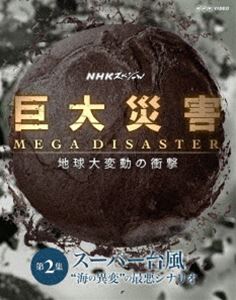 NHKڥ ҳ MEGA DISASTER ϵưξ׷ 2 ѡɳΰѡɤκǰʥꥪ [Blu-ray]