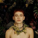 輸入盤 YEARS ＆ YEARS / PALO SANTO 2LP