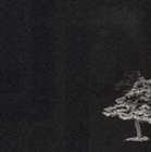 Artist Name: X - jaz’presso / .jp [CD]