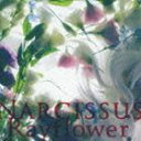 Rayflower / NARCISSUS [CD]