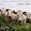 ͢ JAMES FARM / CITY FOLK [CD]