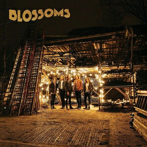 輸入盤 BLOSSOMS / BLOSSOMS （NO FOIL VERSION） LP
