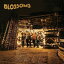 ͢ BLOSSOMS / BLOSSOMS NO FOIL VERSION [LP]