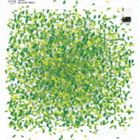 Artist Name: D - スワッグ / ノー・サッチ・シング [CD]