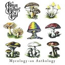 輸入盤 ALLMAN BROTHERS BAND / MYCOLOGY： AN ANTHOLOGY CD