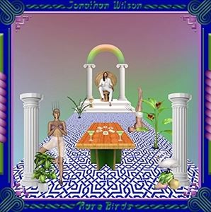 輸入盤 JONATHAN WILSON / RARE BIRDS [CD]