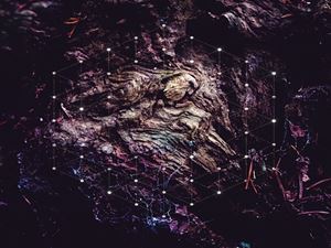 Rakuten - 輸入盤 PSYCHONAUT / UNFOLD THE GOD MAN [CD]