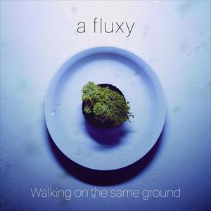 楽天ぐるぐる王国　楽天市場店a fluxy / Walking on the same ground [CD]