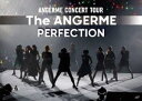 アンジュルム CONCERT TOUR -The ANGERME- PERFECTION [DVD]