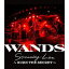 WANDS Streaming Live BURN THE SECRET [Blu-ray]