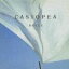 CASIOPEA / HALLE [CD]