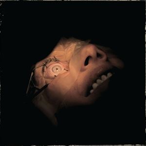 輸入盤 EXHUMED / ANATOMY IS DESTINY （COLORED） [LP]