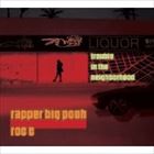 ラッパー・ビッグ・プー＆ロック・C / TROUBLE IN THE NEIGHBORHOOD [CD]