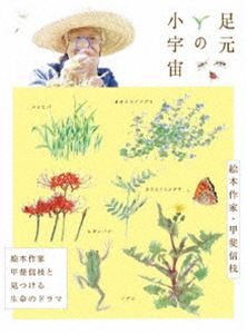 足元の小宇宙 ～絵本作家・甲斐信枝と見つける生命のドラマ～ [DVD]