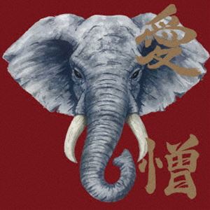 炙りなタウン / 愛憎 [CD]