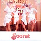 輸入盤 SECRET / SHY BOY [CD]