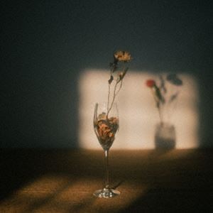 chef��s / thirsty flair [CD]