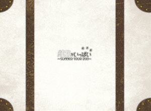 AKB48「AKBがいっぱい〜SUMMER TOUR 2011〜」スペシャルBOX [DVD]