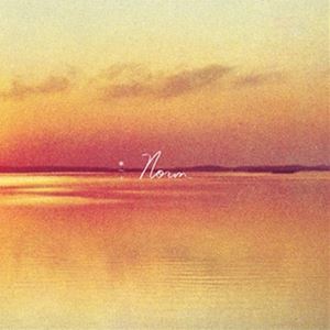 輸入盤 ANDY SHAUF / NORM [CD]