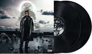 輸入盤 JUICE WRLD / FIGHTING DEMONS 2LP