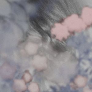 yana yanai / breeze [CD]