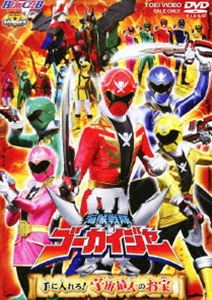 楽天ぐるぐる王国　楽天市場店HERO CLUB 海賊戦隊ゴーカイジャー VOL.2 手に入れろ!宇宙最大のお宝 [DVD]