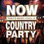 Artist Name: D - 輸入盤 VARIOUS / NOW THAT’S WHAT I CALL A COUNTRY PARTY [CD]