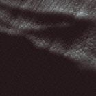 JKフレッシュ / ポストヒューマン [CD]