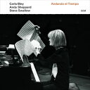 輸入盤 CARLA BLEY ／ ANDY SHEPPARD ／ STEVE SWALLOW / ANDANDO EL TIEMPO LP