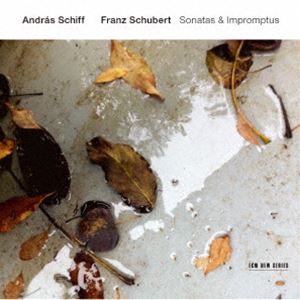 ����ɥ顼���塦���ա�forte piano�� / ���塼�٥�ȡ��ԥ��Ρ����ʥ��� Vol.2��SHM-CD�� [CD]