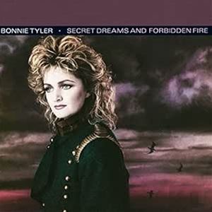 輸入盤 BONNIE TYLER / SECRET DREAMS AND FORBIDDEN FIRE CD