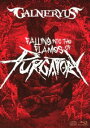 GALNERYUS／FALLING INTO THE FLAMES OF PURGATORY（通常版／BD＋2CD） Blu-ray