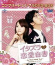 イタズラな恋愛白書 〜In Time With You〜 オリジナル・バージョン〈コンプリート・シンプルDVD-BOX5,000円シリーズ〉【期間限定生産】 [...