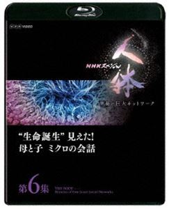 Blu-ray発売日2018/6/22詳しい納期他、ご注文時はご利用案内・返品のページをご確認くださいジャンル国内TVドキュメンタリー　監督出演タモリ山中伸弥収録時間49分組枚数1商品説明NHKスペシャル 人体 神秘の巨大ネットワーク 第6集 ”生命誕生”見えた!母と子 ミクロの会話受精卵というたった一つの細胞が、一人の人間の姿形にどう変わっていくか。その命運は、細胞たちが盛んに交わす“会話”が握っていることがわかってきた。あなたがあなたになるまでの神秘の物語を、科学でひもといていく。タモリとノーベル医学・生理学賞を受賞した山中伸弥教授が、神秘的な秘密を解き明かしていく知的エンターテインメント作品第6集。関連商品NHKスペシャル一覧商品スペック 種別 Blu-ray JAN 4988066224683 カラー カラー 製作年 2018 製作国 日本 字幕 日本語 音声 リニアPCM（ステレオ）　　　 販売元 NHKエンタープライズ登録日2018/03/20