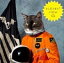 ͢ KLAXONS / SURFING THE VOID [CD]