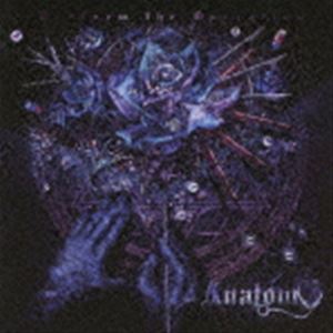 Anatomy / Perform the Operation [CD]