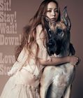 安室奈美恵／Sit! Stay! Wait! Down!／Love Story