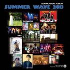 SUMMER WAVE 2013 [CD]