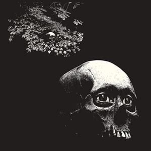 輸入盤 OSEES / FOUL FORM [CD]