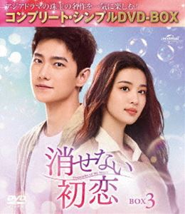 消せない初恋 BOX3＜コンプリート・シンプルDVD‐BOX5，500円シリーズ＞【期間限定生産】 [DVD]