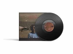 ͢���� MICHAEL KIWANUKA / SMALL CHANGES [LP]