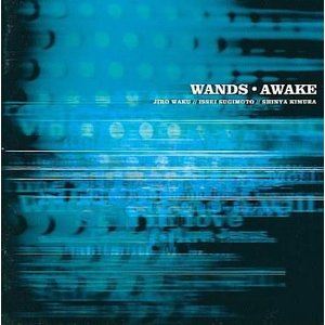 WANDS / AWAKE CD