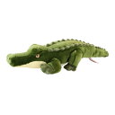 異種ワニ共演 一緒に日光浴をするクロコダイルとガビアル プレデターtv 肉食獣動画