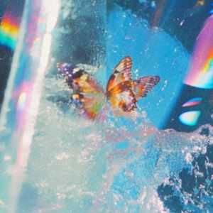 Artist Name: M - Daphni / Butterfly [CD]