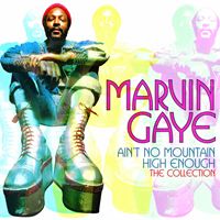 AIN’T NO MOUNTAIN HIGH ENOUGH ： THE COLLECTIONCD発売日2012/1/30詳しい納期他、ご注文時はご利用案内・返品のページをご確認くださいジャンル洋楽ソウル/R&B　アーティストマーヴィン・ゲイMARVIN GAYE収録時間組枚数商品説明MARVIN GAYE / AIN’T NO MOUNTAIN HIGH ENOUGH ： THE COLLECTIONマーヴィン・ゲイ / エイント・ノー・マウンテン・ハイ・イナフ：ザ・コレクション収録内容”1. I Heard It Through The Grapevine2. One More Heartache3. Ain’t No Mountain High Enough4. It Takes Two5. What’s Going On6. Trouble Man7. ””T”” Plays It Cool8. Inner City Blues （You Make Me Wanna Holler）9. Right On10. 関連キーワードマーヴィン・ゲイ MARVIN GAYE 関連商品マーヴィン・ゲイ CD商品スペック 種別 CD 【輸入盤】 JAN 0600753374733登録日2013/03/11