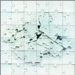 Not Scientists / Destroy To Rebuild [CD]